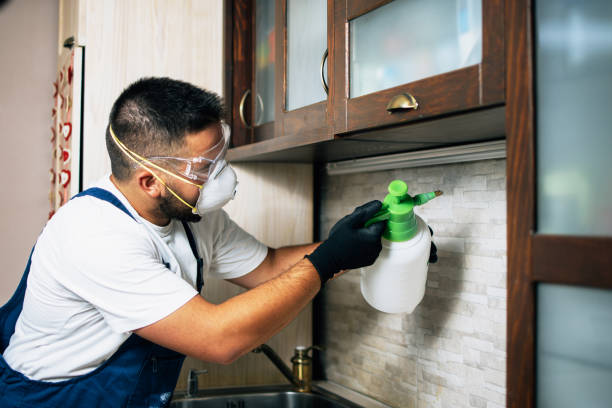 Best Residential Pest Control  in Montrose, NY