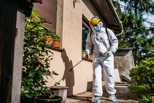 Best Mosquito Control Services  in Montrose, NY