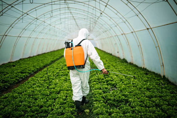 Best Local Pest Control Services  in Montrose, NY