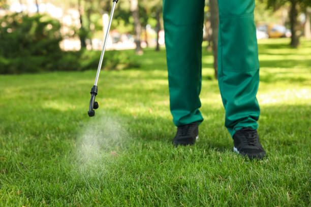 Best Pest Prevention Services  in Montrose, NY