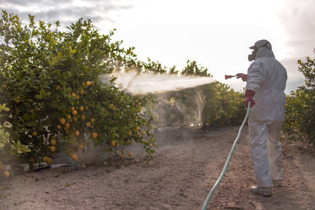 Best Wildlife Control Services  in Montrose, NY