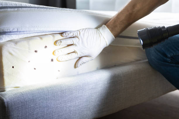 Pest Control Cost in Montrose, NY