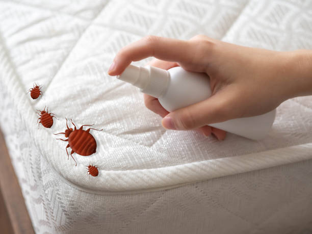 Best Commercial Pest Control Services  in Montrose, NY