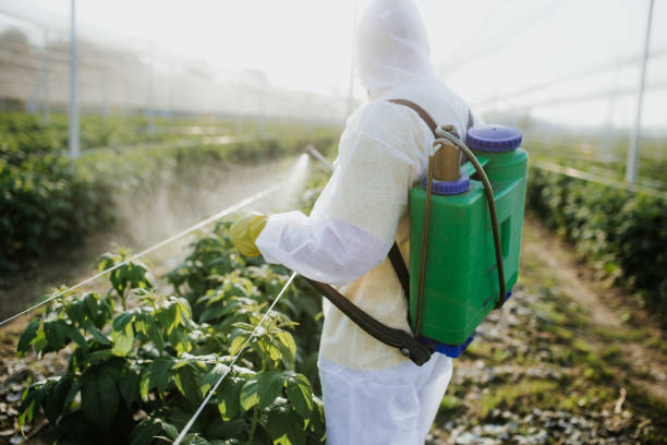 Best Pest Prevention Services  in Montrose, NY